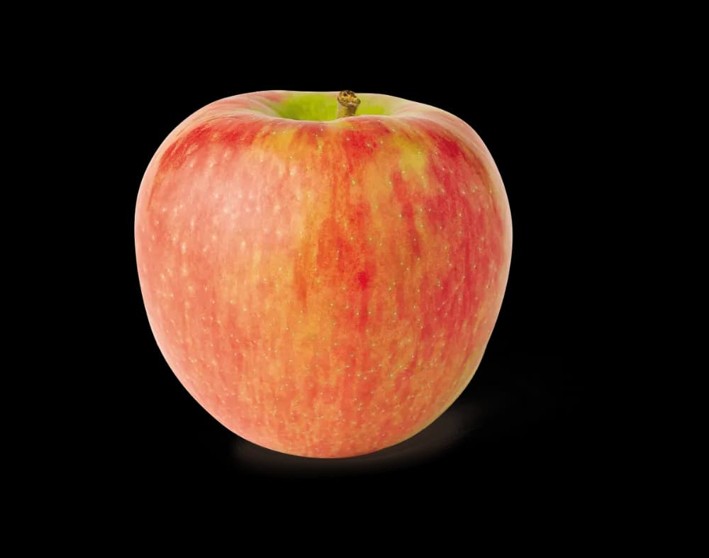Apple Honeycrisp